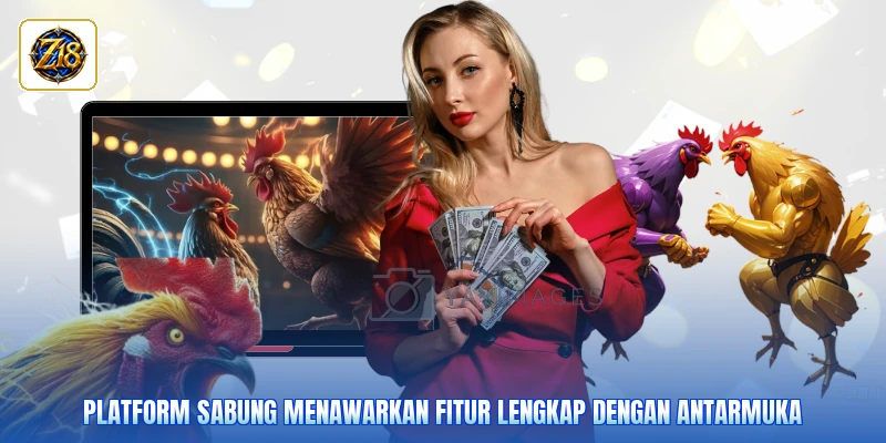 Platform sabung menawarkan fitur lengkap dengan antarmuka